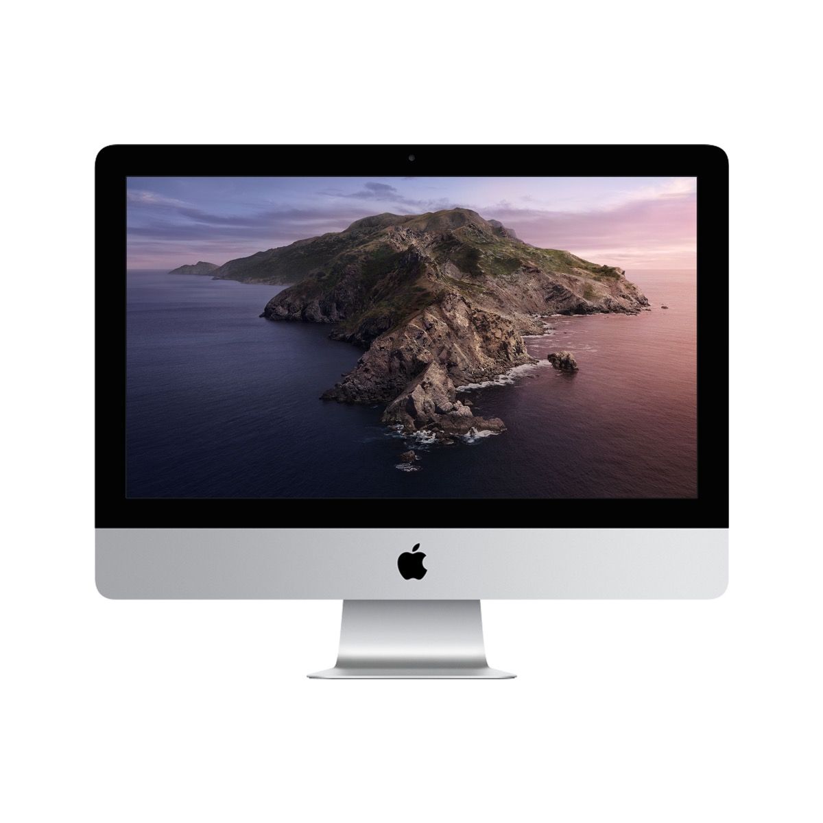 Apple iMac/21,5"/FHD/i5/8GB/256GB SSD/Iris Plus 400/Catalina/Silver/1R