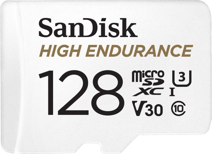 SanDisk High Endurance