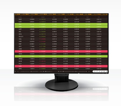 EIZO FlexScan/EV2456/24,1"/IPS/FHD/60Hz/5ms/Black/5R