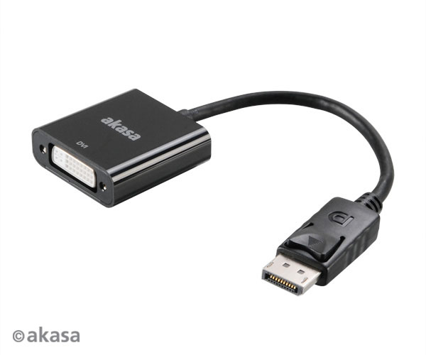 AKASA kabel redukce DisplayPort na DVI, 20cm