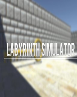 ESD Labyrinth Simulator