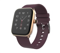 iGET FIT F20/Gold/Sport Band/Red