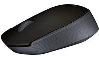 PROMO myš Logitech Wireless Mouse M171, šedá
