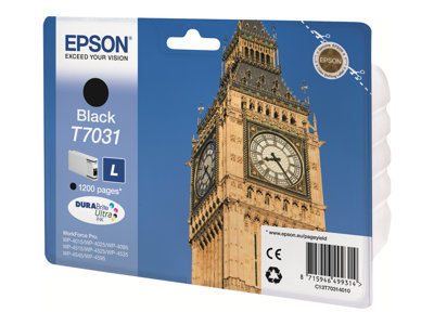 EPSON Ink čer WorkForce-4000/4500 - Black L-1200str. (24 ml)