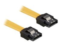 Delock Cable SATA 6 Gb/s straight/straig