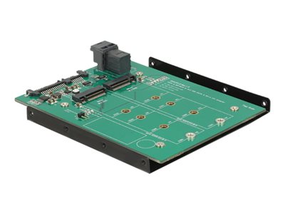 Delock Converter SATA 22 pin / SFF-8643 NVMe &gt; 1 x M.2 NGFF Key M + 1 x M.2 NGFF Key B