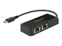Delock Adapter USB-C 3.1 Gen 1 &gt; 2 x Gigabit LAN 10/100/1000 Mb/s