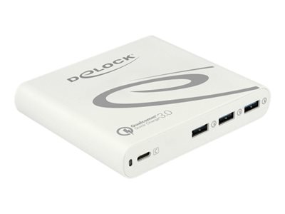 Delock USB Charger