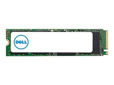 Dell/1TB/SSD/M.2 NVMe/1R