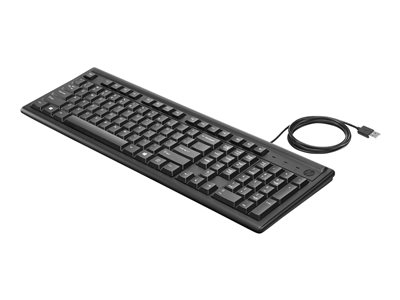 HP 100 klávesnice/drátová